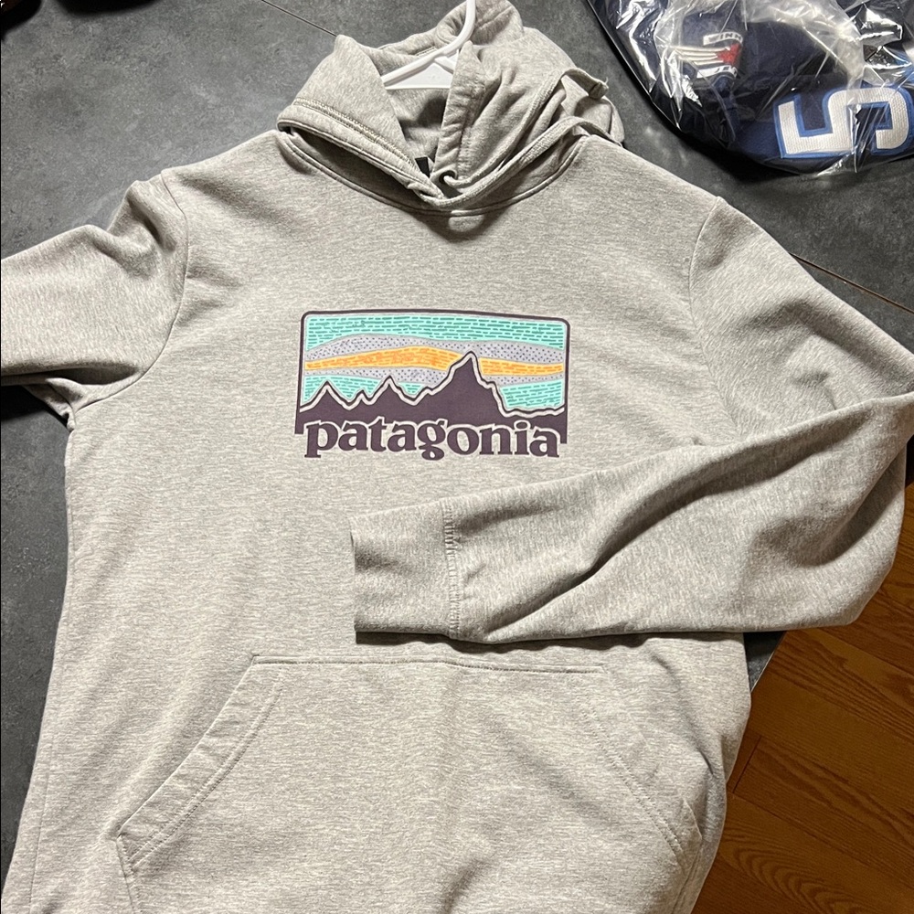 Patagonia Light Gray Hoodie with Multicolor green Logo  Womens medium